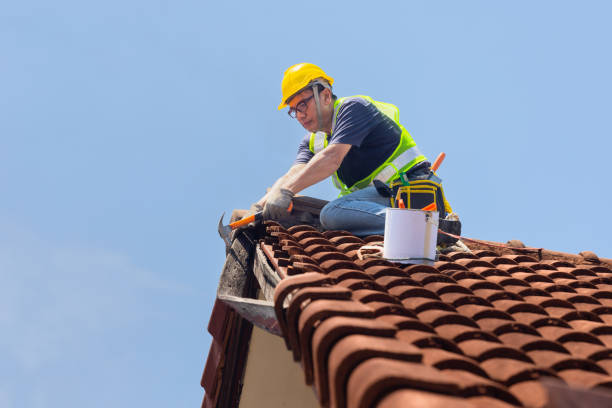 Best Chimney Flashing Repair  in Hazlehurst, MS